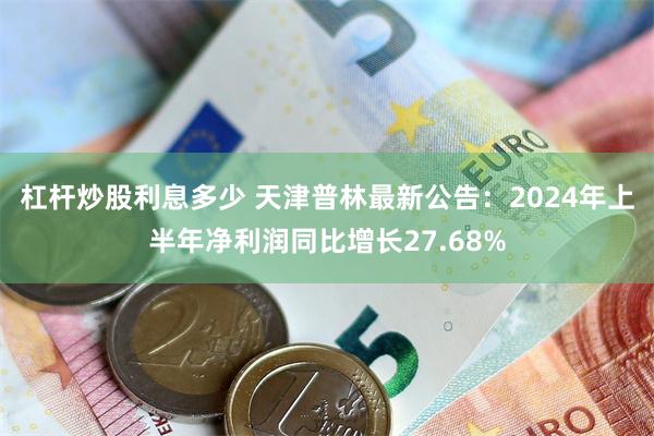 杠杆炒股利息多少 天津普林最新公告：2024年上半年净利润同