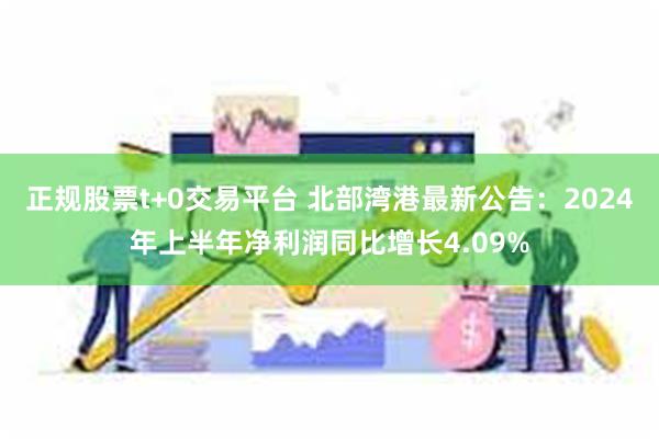 正规股票t+0交易平台 北部湾港最新公告：2024年上半年净