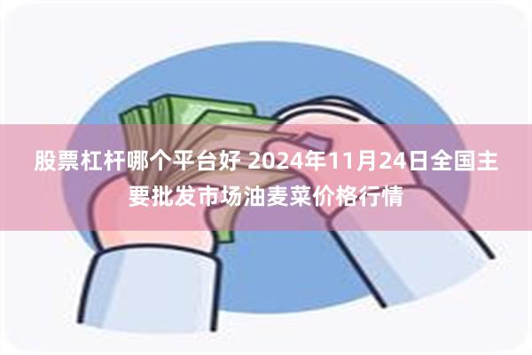 股票杠杆哪个平台好 2024年11月24日全国主要批发市场油